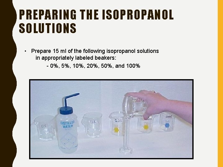 PREPARING THE ISOPROPANOL SOLUTIONS • Prepare 15 ml of the following isopropanol solutions in