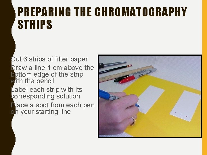 PREPARING THE CHROMATOGRAPHY STRIPS • Cut 6 strips of filter paper • Draw a