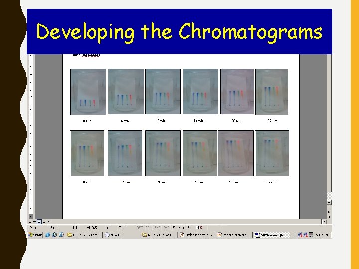 Developing the Chromatograms 