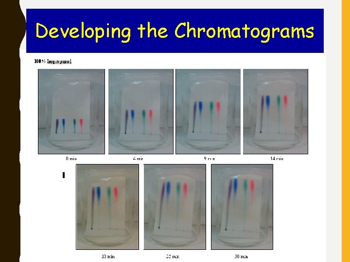 Developing the Chromatograms 