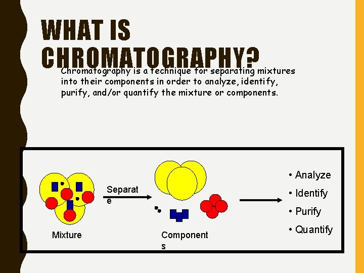 WHAT IS CHROMATOGRAPHY? Chromatography is a technique for separating mixtures into their components in