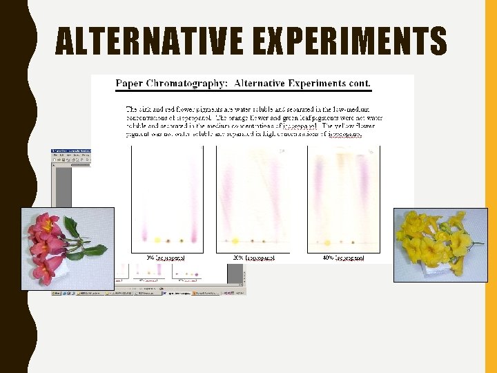 ALTERNATIVE EXPERIMENTS 