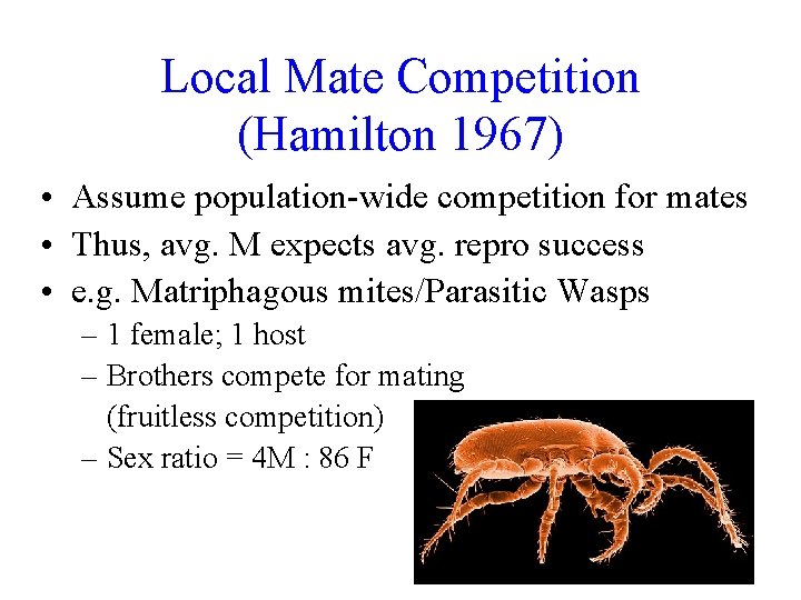 Local Mate Competition (Hamilton 1967) • Assume population-wide competition for mates • Thus, avg. Local Mate Competition (Hamilton 1967) • Assume population-wide competition for mates • Thus, avg.