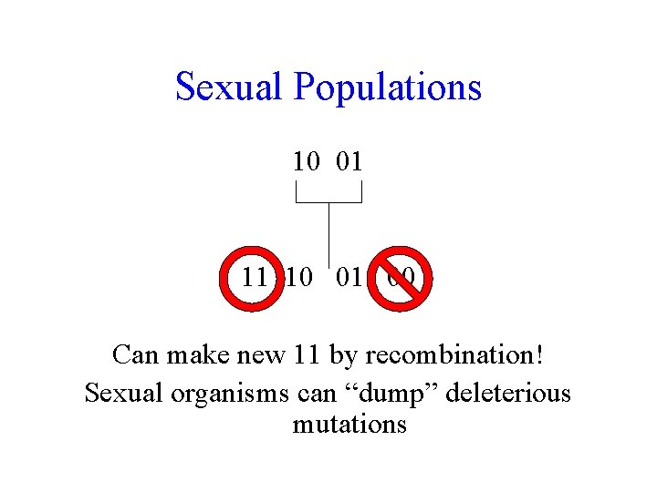 Sexual Populations 10 01 11 10 01 00 Can make new 11 by recombination!