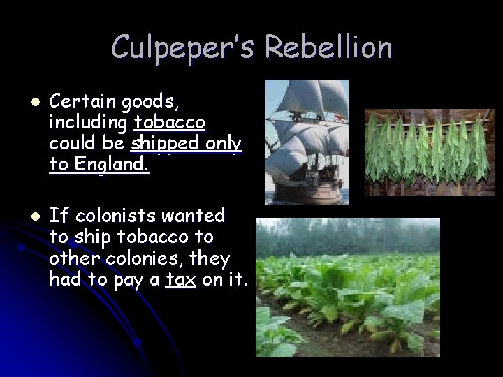 Culpeper’s Rebellion l l Certain goods, including tobacco could be shipped only to England.