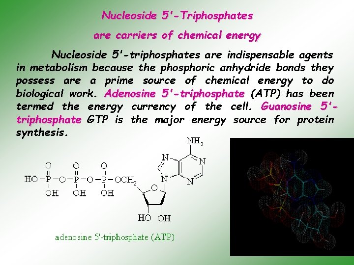 Nucleoside 5'-Triphosphates are carriers of chemical energy Nucleoside 5'-triphosphates are indispensable agents in metabolism