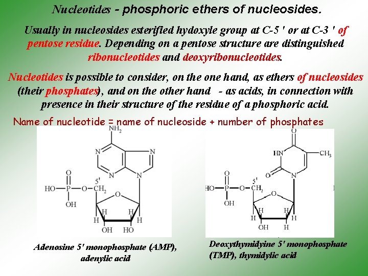  Nucleotides - phosphoric ethers of nucleosides. Usually in nucleosides esterified hydoxyle group at