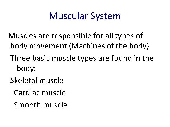 Muscular System Muscles are responsible for all types of body movement (Machines of the