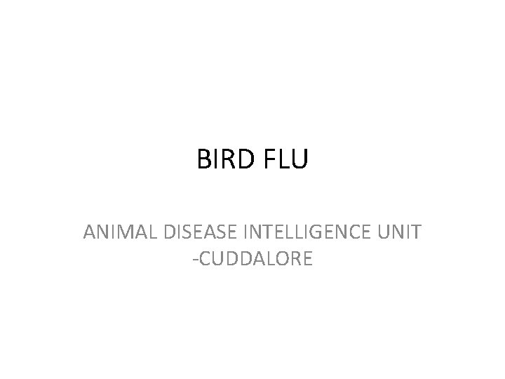 BIRD FLU ANIMAL DISEASE INTELLIGENCE UNIT -CUDDALORE 