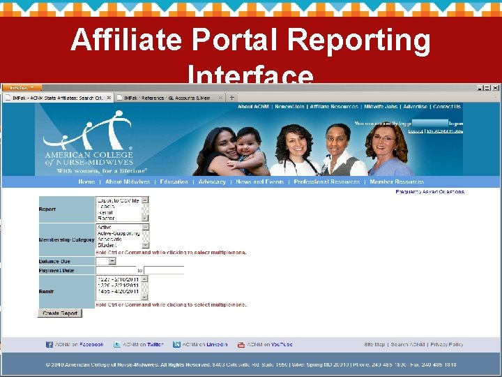 Affiliate Portal Reporting Interface 