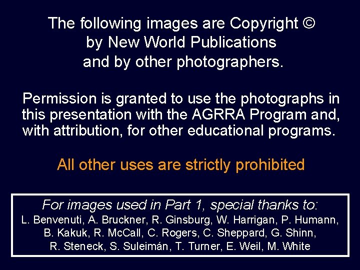 The following images are Copyright © by New World Publications and by other photographers.