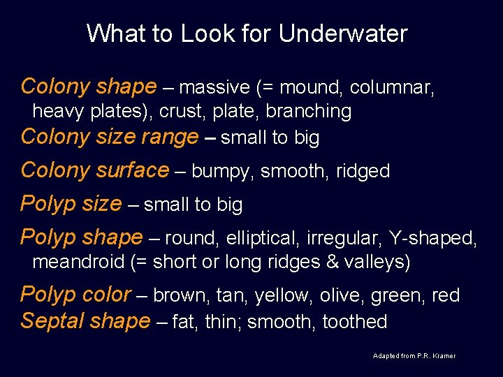 What to Look for Underwater Colony shape – massive (= mound, columnar, heavy plates),