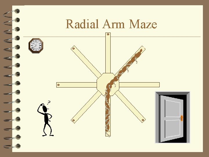 Radial Arm Maze 