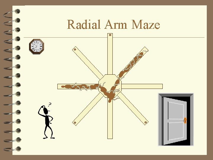 Radial Arm Maze 