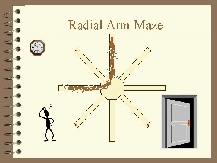 Radial Arm Maze 