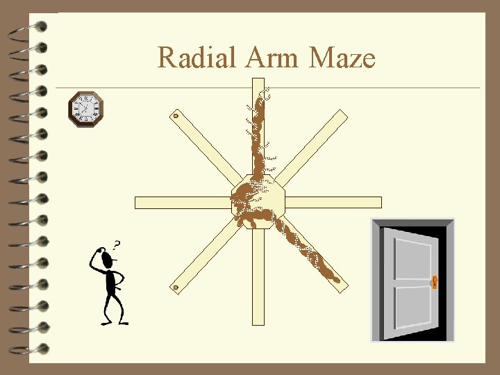 Radial Arm Maze 