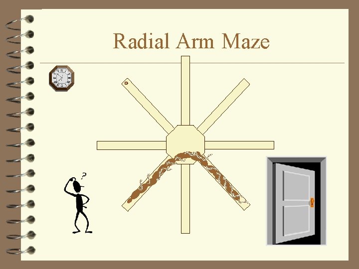Radial Arm Maze 