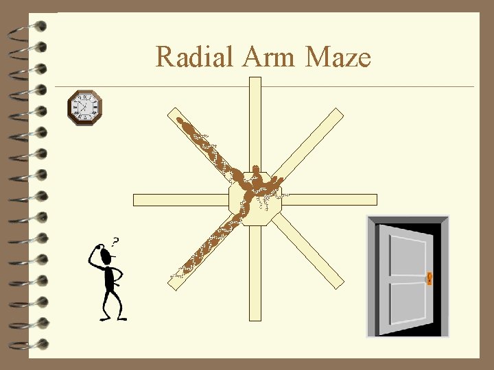 Radial Arm Maze 