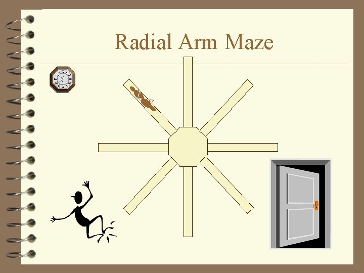 Radial Arm Maze 