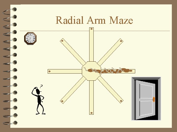 Radial Arm Maze 