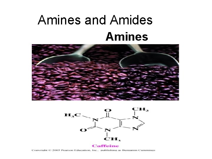 Amines and Amides Amines 