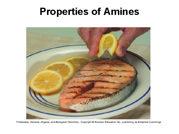 Properties of Amines 