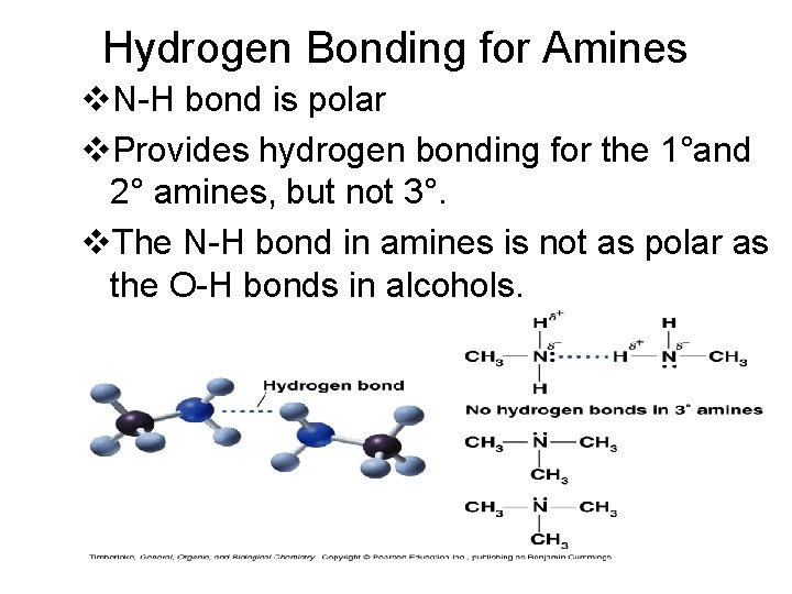 Hydrogen Bonding for Amines v. N-H bond is polar v. Provides hydrogen bonding for