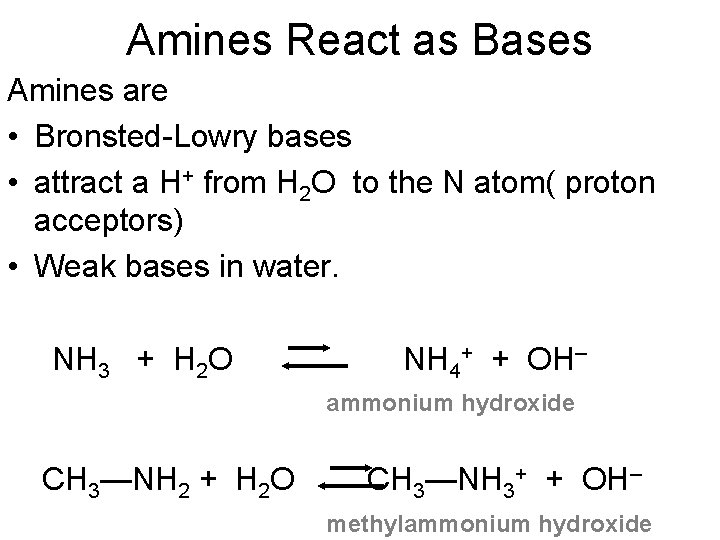 Amines React as Bases Amines are • Bronsted-Lowry bases • attract a H+ from