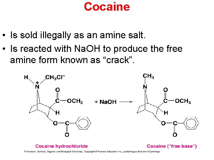 Cocaine • Is sold illegally as an amine salt. • Is reacted with Na.