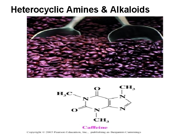 Heterocyclic Amines & Alkaloids 