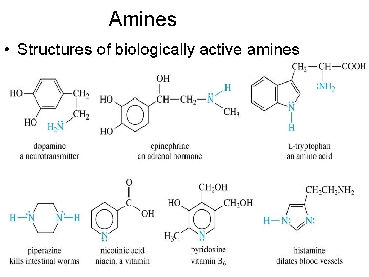 Amines • Structures of biologically active amines 