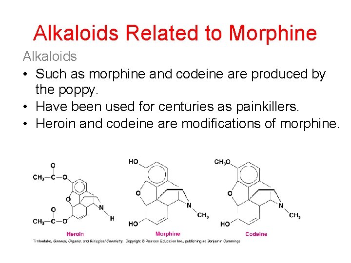 Alkaloids Related to Morphine Alkaloids • Such as morphine and codeine are produced by