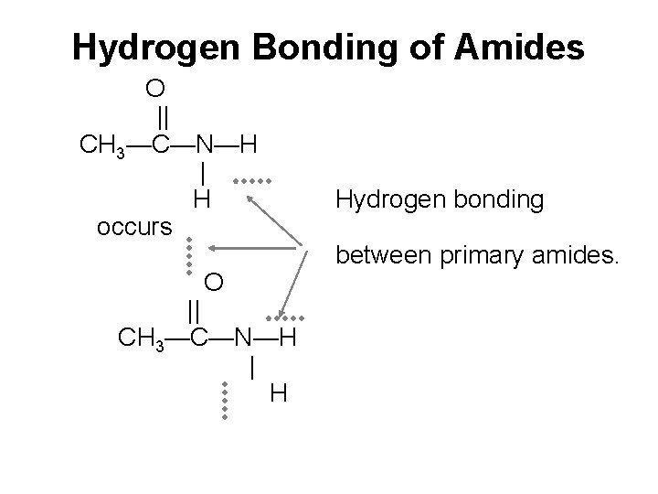 Hydrogen Bonding of Amides O || CH 3—C—N—H | H occurs O || CH