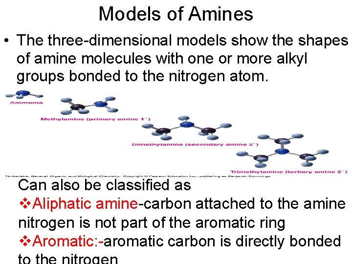 Models of Amines • The three-dimensional models show the shapes of amine molecules with