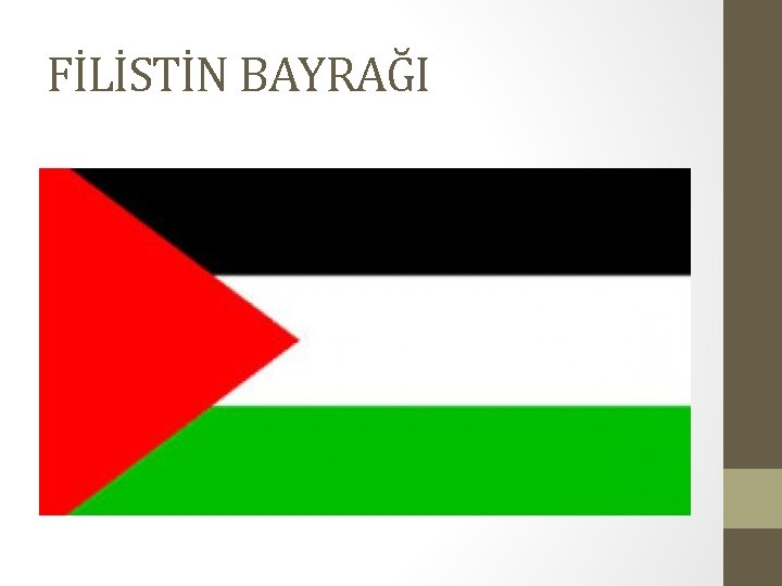 FİLİSTİN BAYRAĞI 