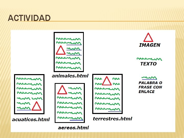 ACTIVIDAD 