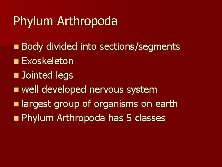 Phylum Arthropoda n Body divided into sections/segments n Exoskeleton n Jointed legs n well