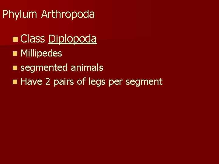 Phylum Arthropoda n Class Diplopoda n Millipedes n segmented animals n Have 2 pairs