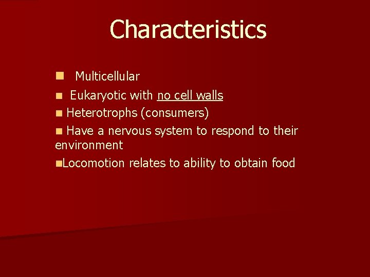 Characteristics n Multicellular Eukaryotic with no cell walls n Heterotrophs (consumers) n Have a