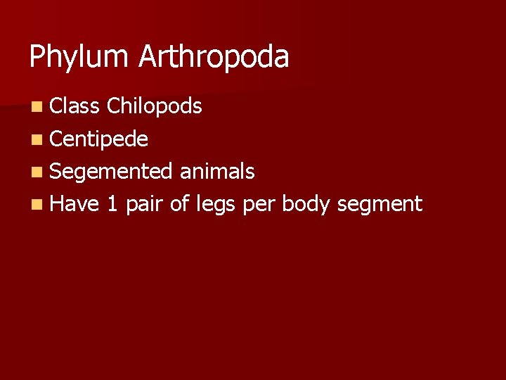 Phylum Arthropoda n Class Chilopods n Centipede n Segemented animals n Have 1 pair