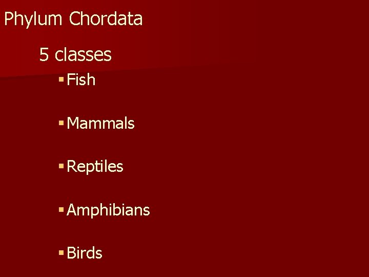 Phylum Chordata 5 classes § Fish § Mammals § Reptiles § Amphibians § Birds