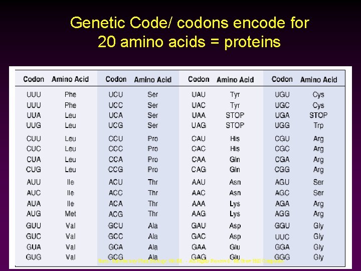 Genetic Code/ codons encode for 20 amino acids = proteins Stern - Introductory Plant