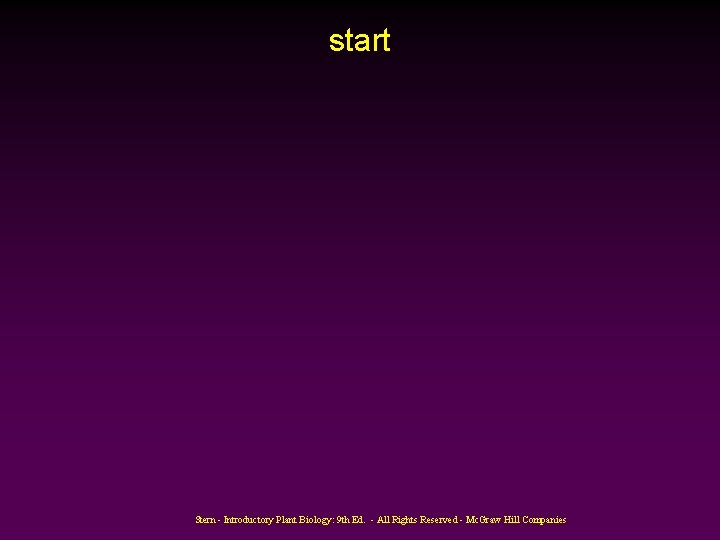 start Stern - Introductory Plant Biology: 9 th Ed. - All Rights Reserved -