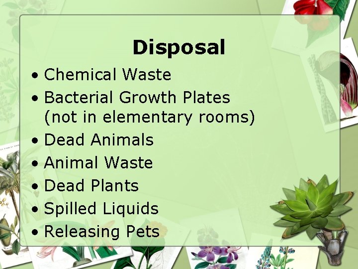 Disposal • Chemical Waste • Bacterial Growth Plates (not in elementary rooms) • Dead