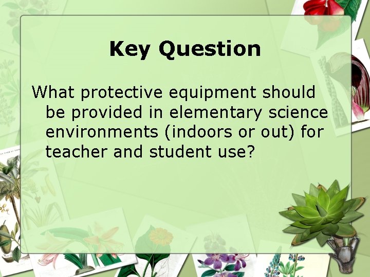 Key Question What protective equipment should be provided in elementary science environments (indoors or