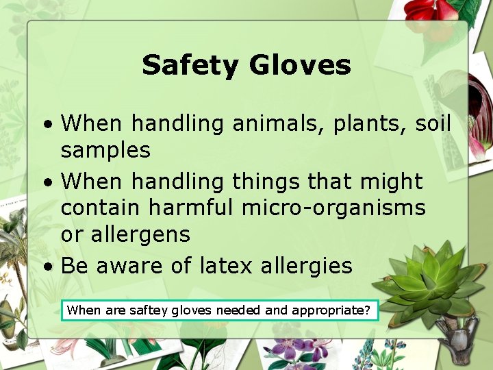 Safety Gloves • When handling animals, plants, soil samples • When handling things that