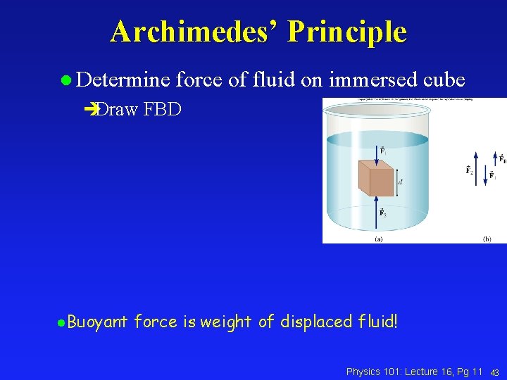 Archimedes’ Principle l Determine force of fluid on immersed cube èDraw FBD l. Buoyant