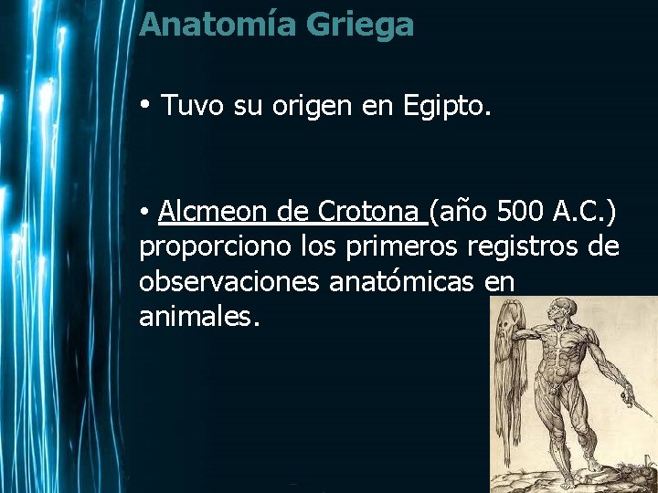 Anatomía Griega • Tuvo su origen en Egipto. • Alcmeon de Crotona (año 500