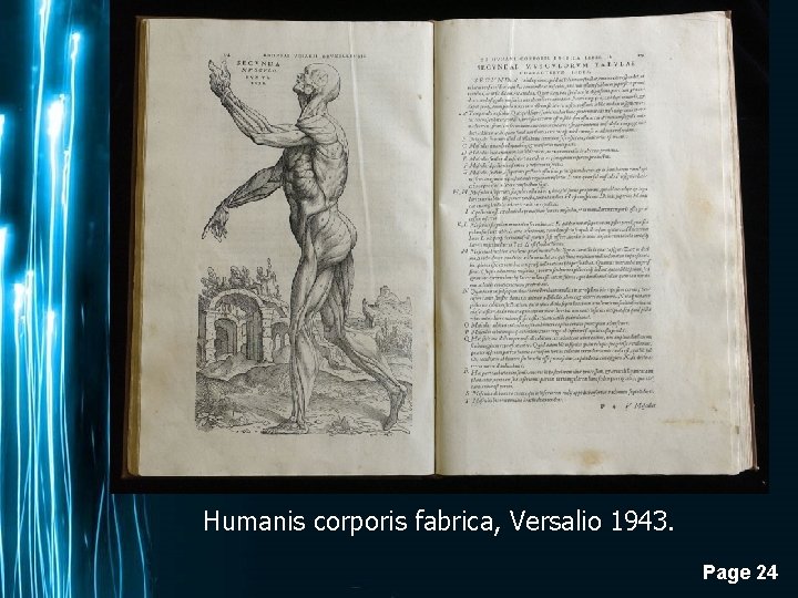 Humanis corporis fabrica, Versalio 1943. Page 24 