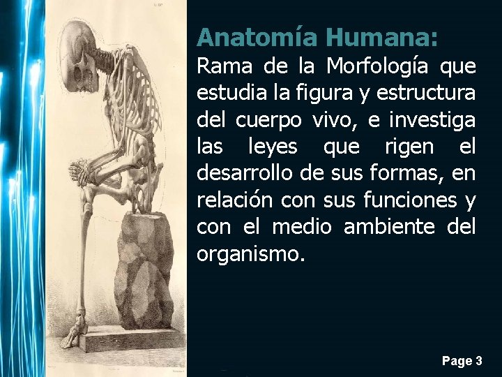 " Anatomía Humana: Rama de la Morfología que estudia la figura y estructura del